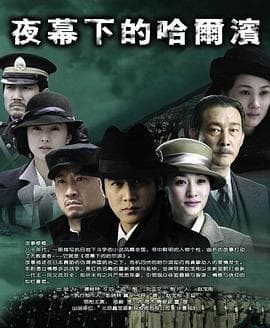 夜幕下的哈尔滨海报