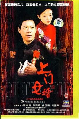 上门女婿海报