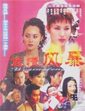 危情风暴海报