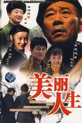 美丽人生 内地版海报