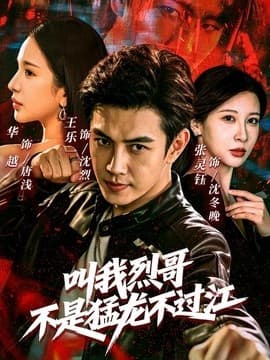 叫我烈哥，不是猛龙不过江海报