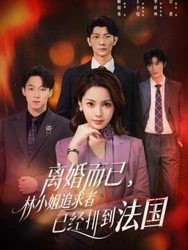离婚而已，林小姐追求者已经排到法国海报