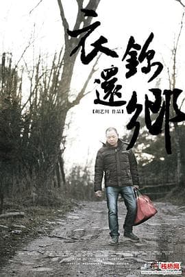 衣锦还乡海报