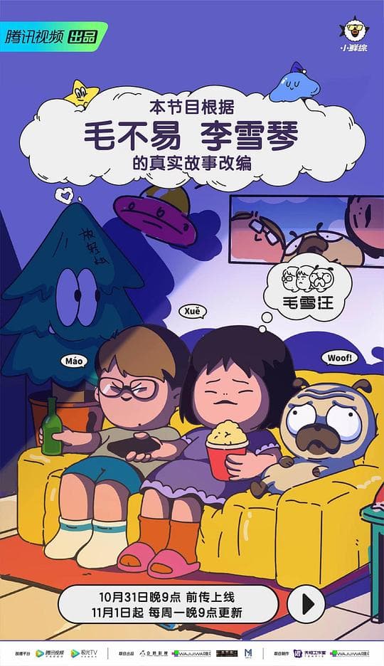 毛雪汪海报