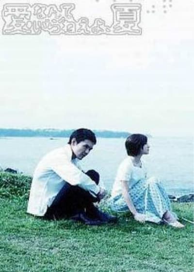 不需要爱的夏天海报