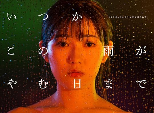 待到雨停时海报