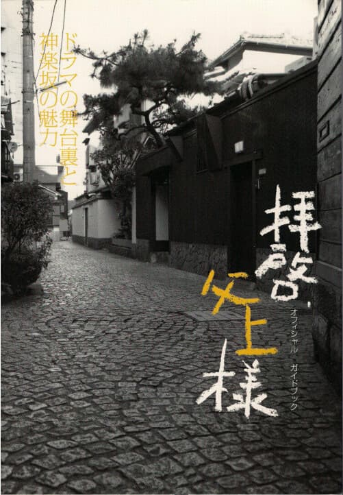 敬启，父亲大人海报