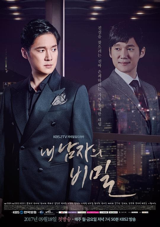 我男人的秘密海报
