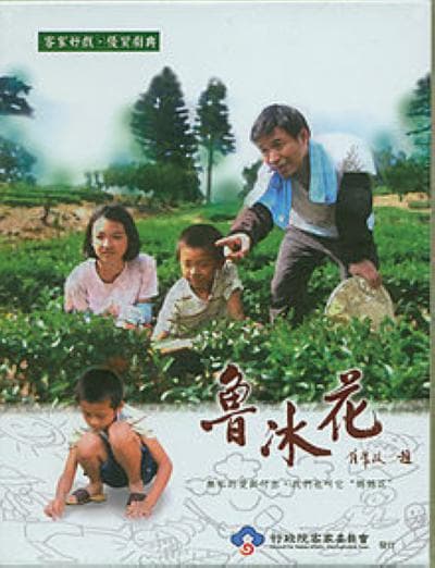 鲁冰花海报