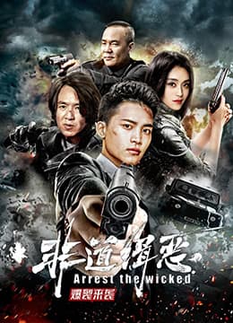 非道缉恶海报