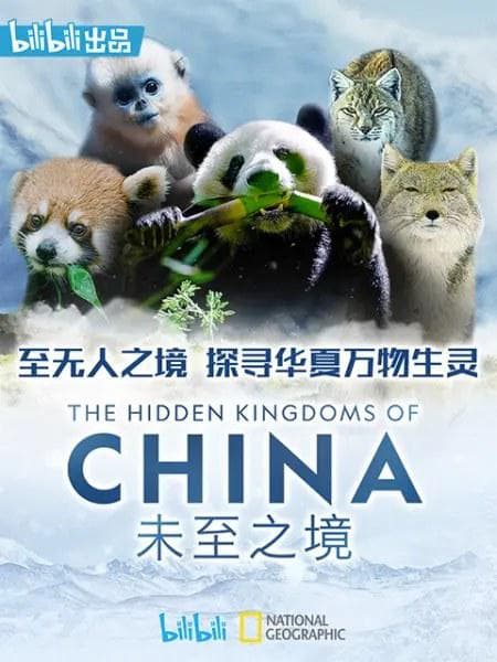 未至之境海报