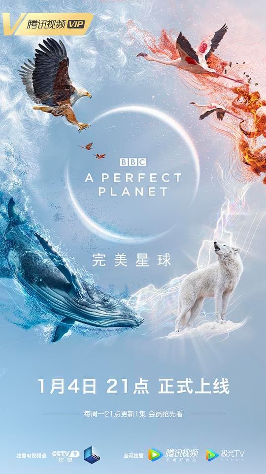 完美星球海报