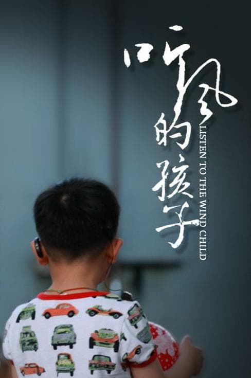 听风的孩子海报