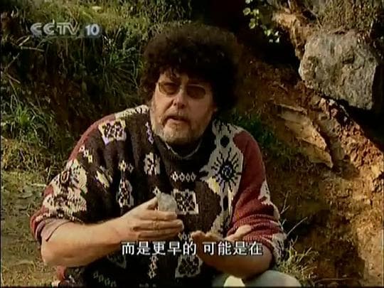 中国人从哪里来海报