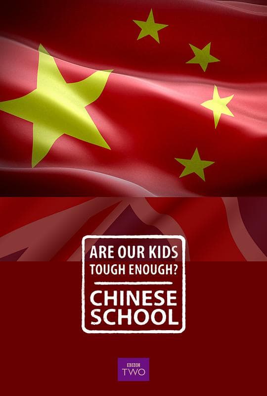 中国老师来了海报