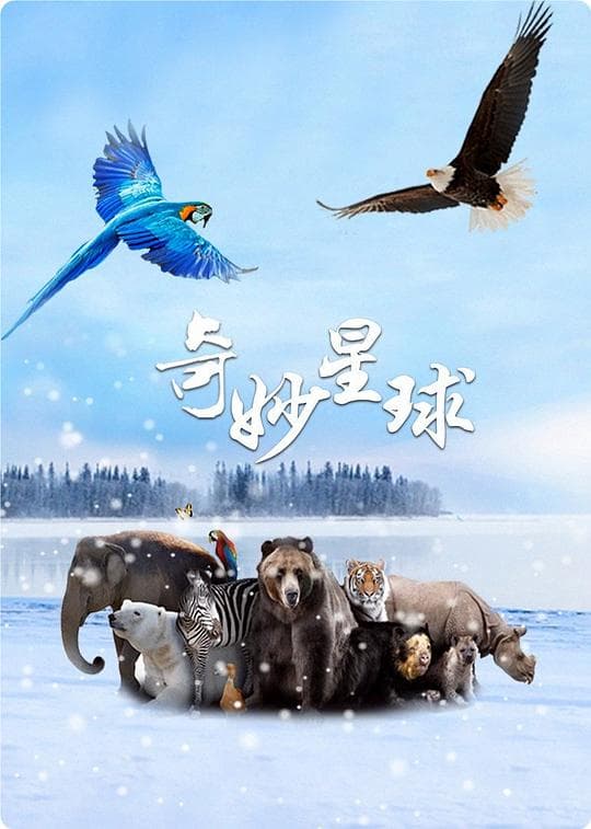 奇妙星球海报