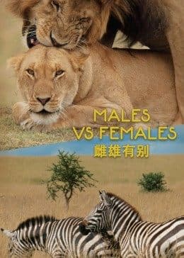 雌雄有别海报