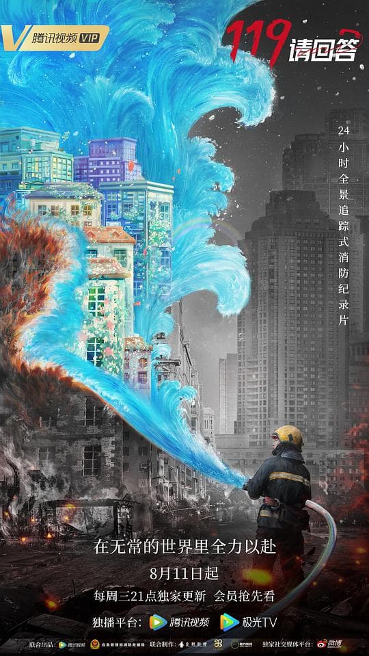 119请回答海报