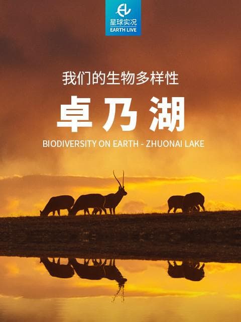 我们的生物多样性——卓乃湖海报