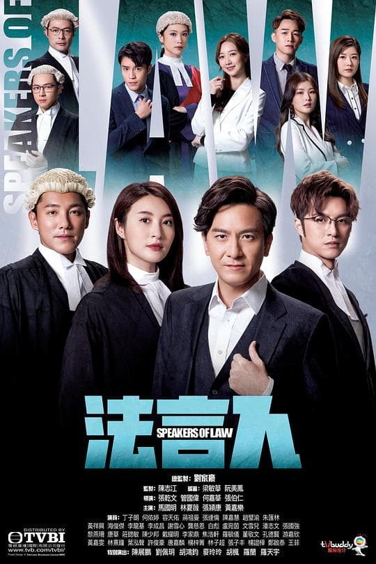 法言人(国语)海报