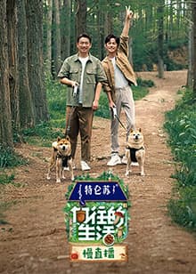 向往的生活7 慢直播海报