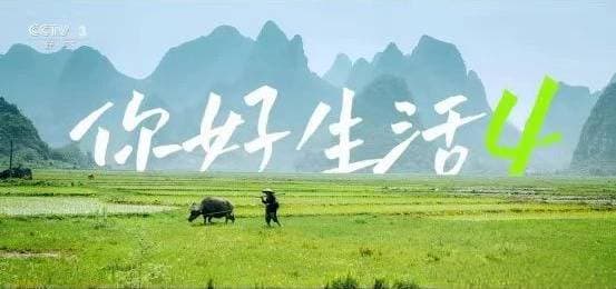 你好生活第四季海报