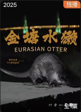 金塘水獭海报