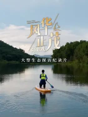 风华正茂第三季海报