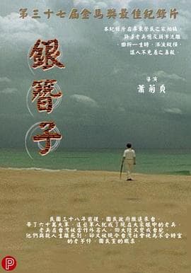 银簪子海报