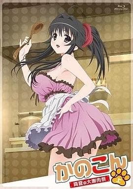我的狐仙女友:真夏的大谢肉祭·上海报