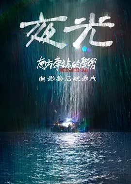 夜光2019海报