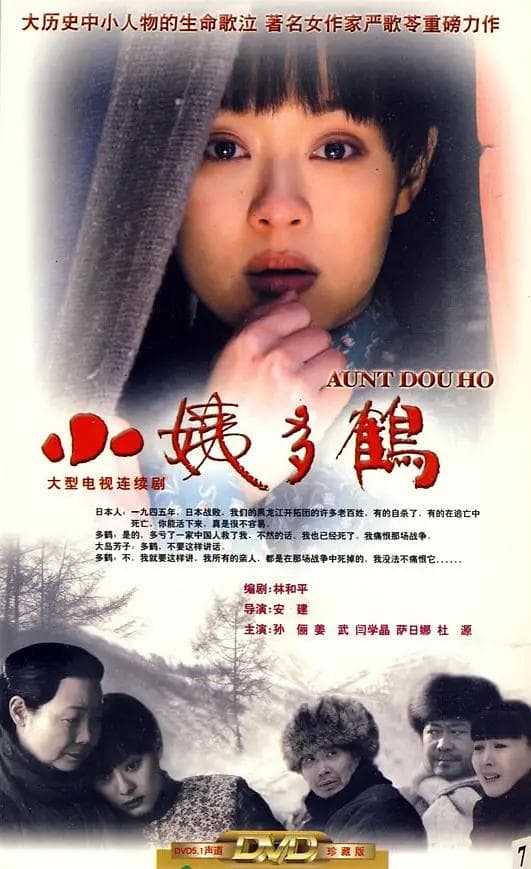 小姨多鹤海报