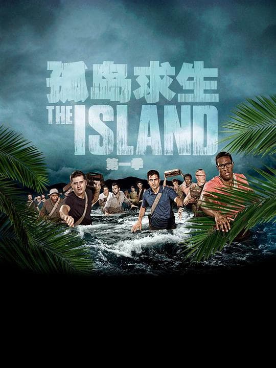 孤岛求生海报